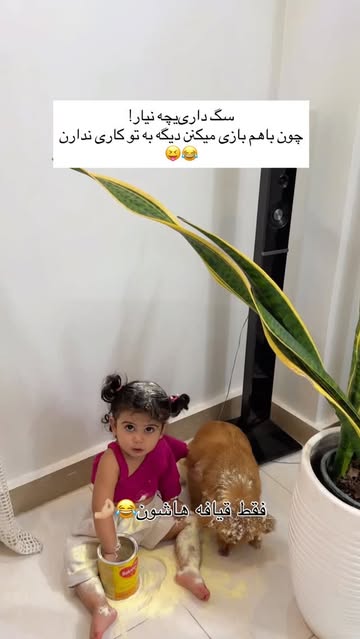 پست اینستاگرام DSkYf7lDIoy