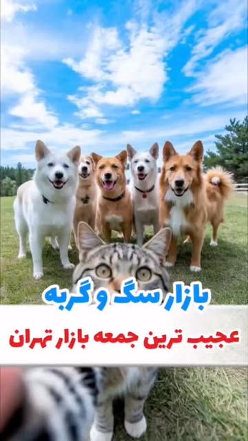 پست اینستاگرام DSpOlfQjL-s