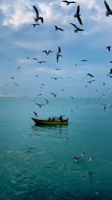 پست اینستاگرام DTAk-tFDqVz
