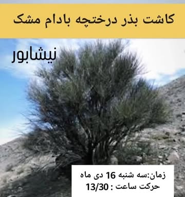 پست اینستاگرام DTIypceDOdR