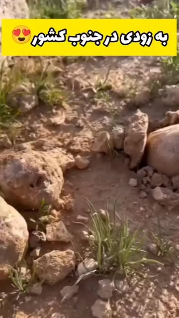 پست اینستاگرام DTK1b3aDEA_
