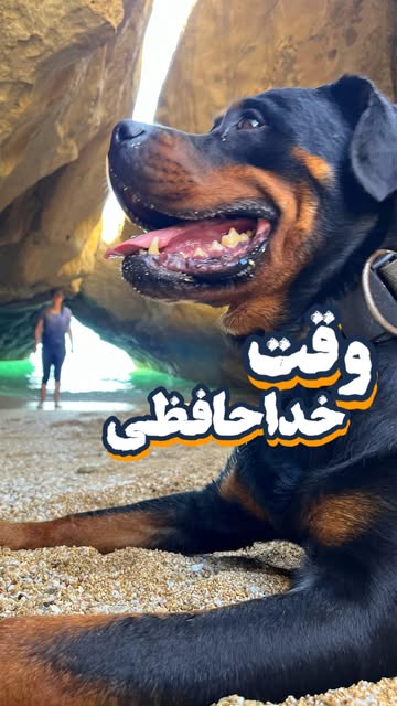 پست اینستاگرام DU0Dd0pDMNB