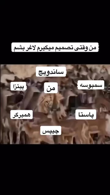 پست اینستاگرام DUn43UPjM3F
