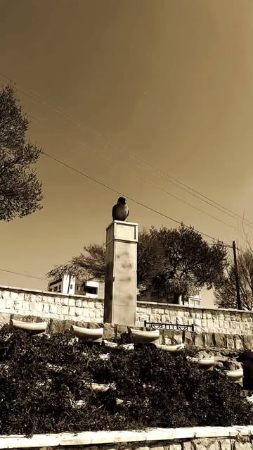 پست اینستاگرام DVD2EF2DAVx