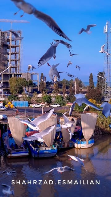 پست اینستاگرام DVDwT8VjeHm
