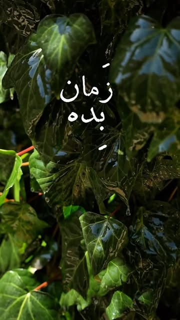 پست اینستاگرام DVIsAJIjJHY