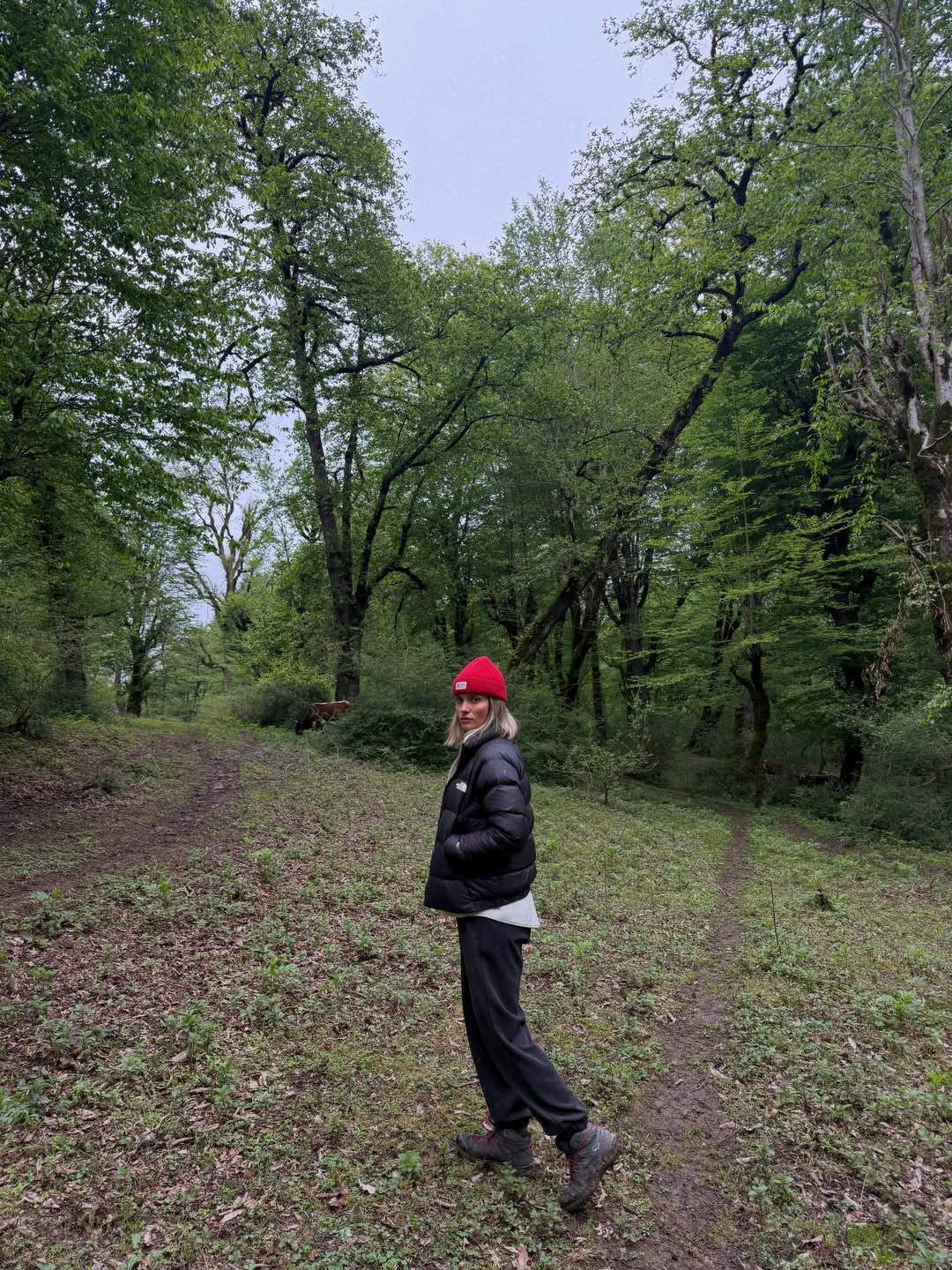 Instagram post DYPCDMTDKoU
