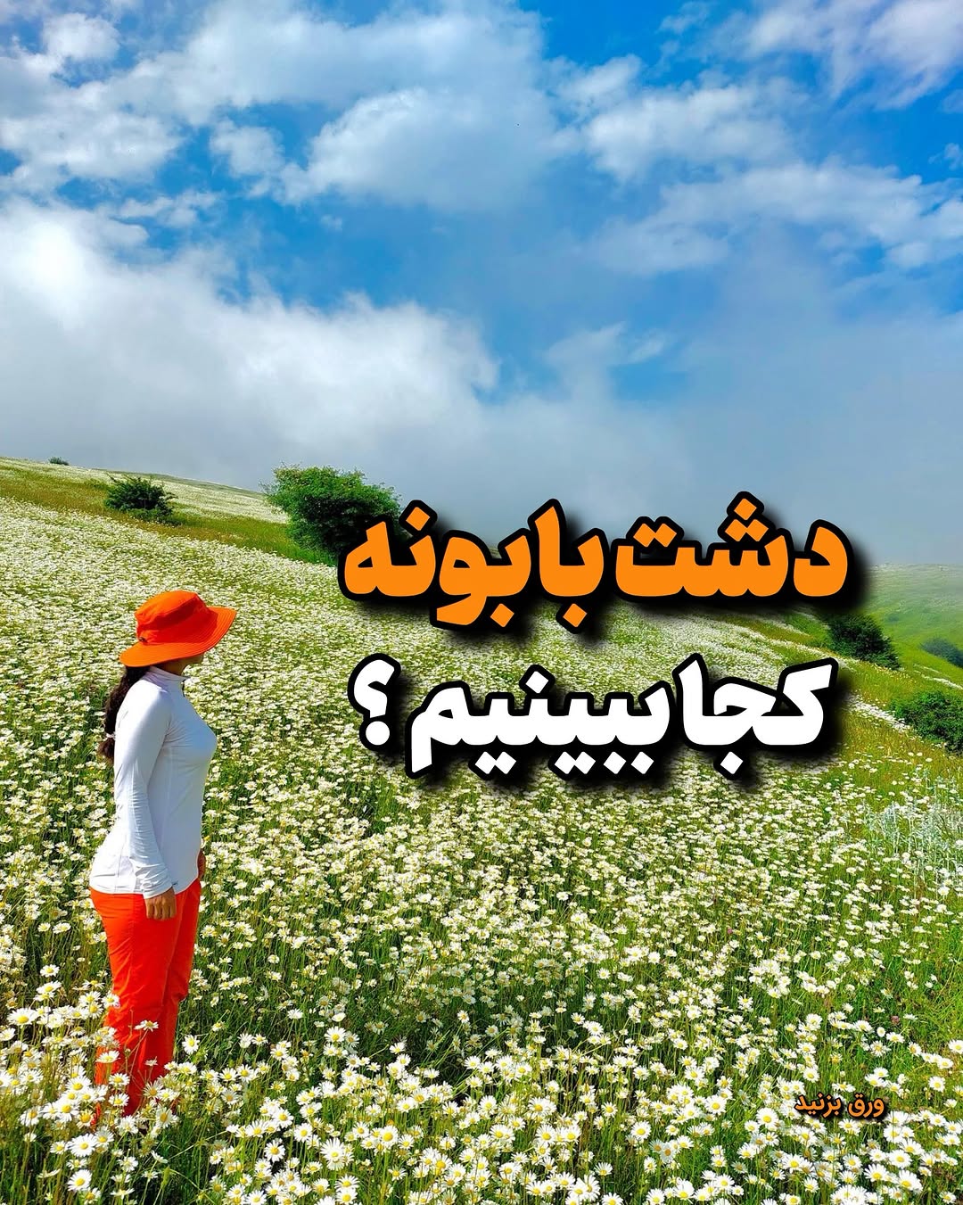 پست اینستاگرام DZ-Z8CKCFS_