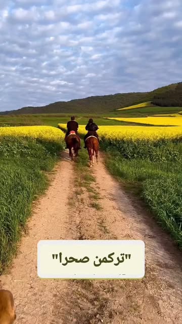 پست اینستاگرام DZ2J8cxNS-Y