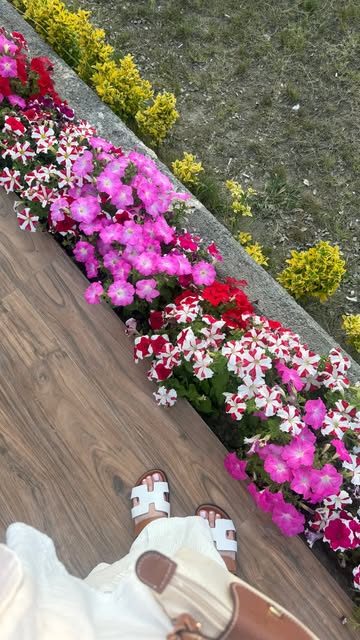 پست اینستاگرام DZ5b_l9IF7w