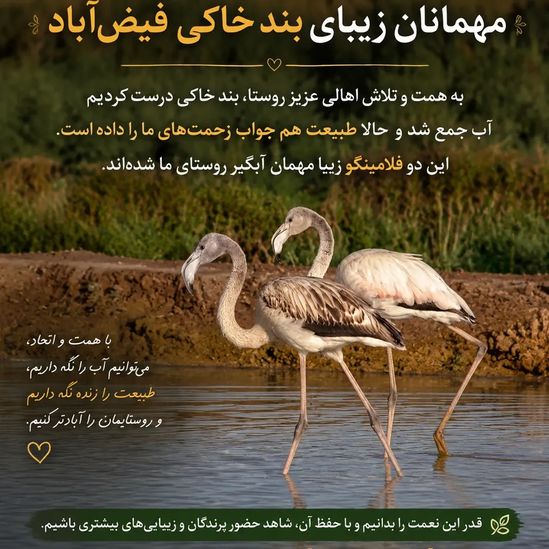 پست اینستاگرام DZHoETexNDA