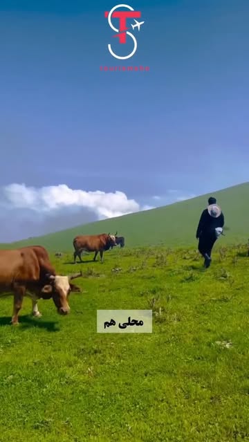 پست اینستاگرام DZR04BeIc0g