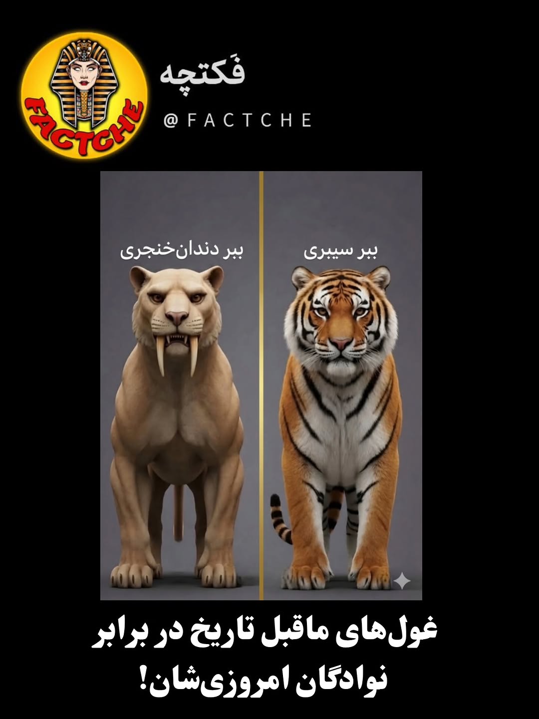 پست اینستاگرام DZdK0sJiiLV