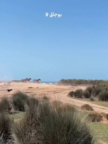 پست اینستاگرام DZeqpQiAtkx
