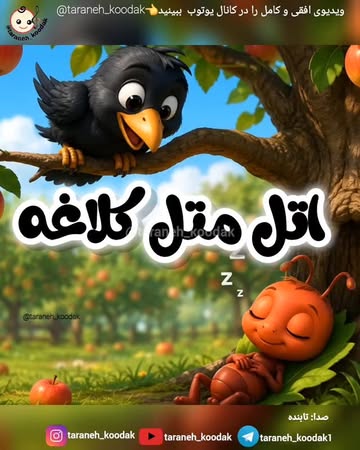 پست اینستاگرام DZfaiPgoA-_