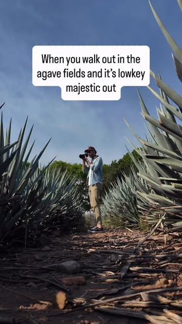 Instagram post DZkq98wO0Wa