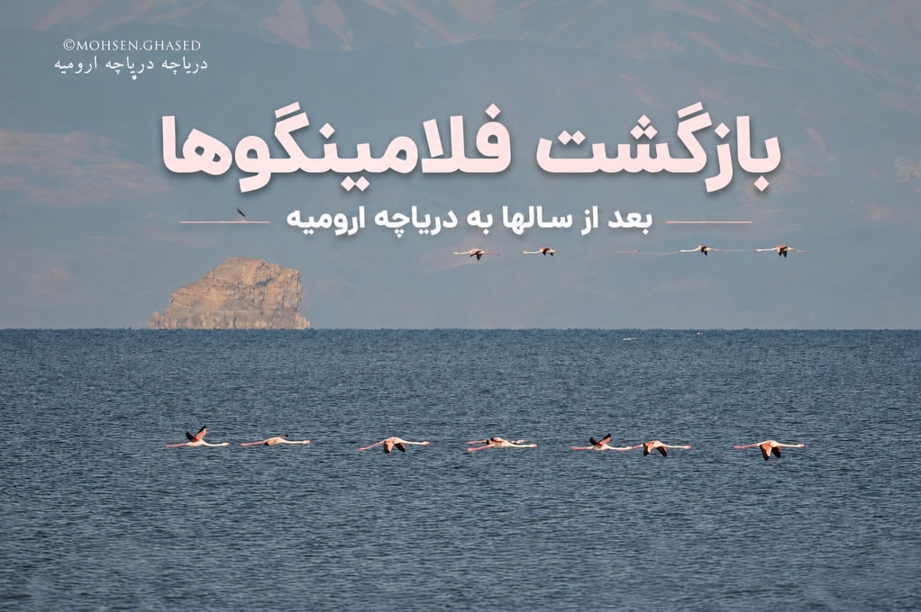 پست اینستاگرام DZqD-QajO_r