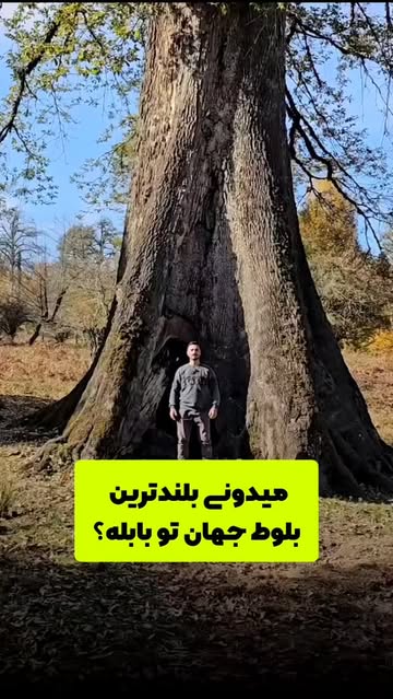 پست اینستاگرام DZrYdXioFml
