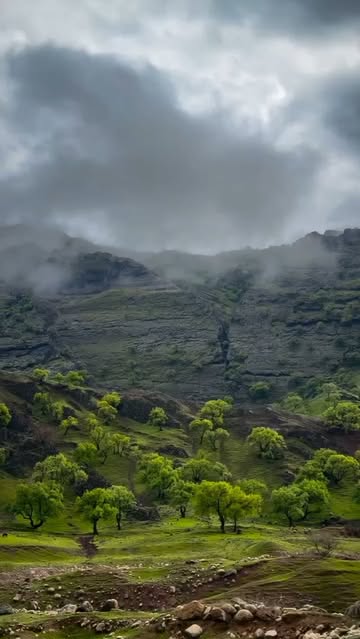 پست اینستاگرام Da-ILzSIIn1