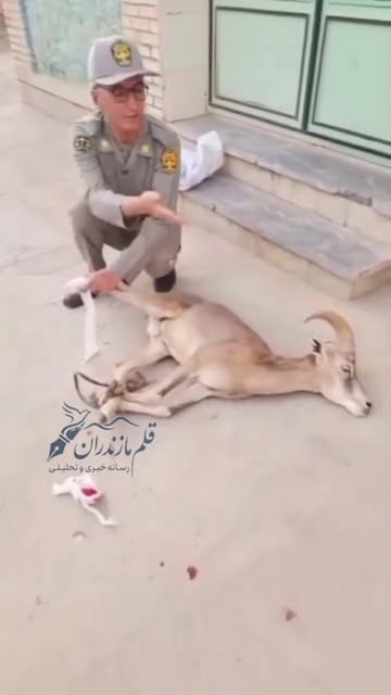 پست اینستاگرام Da0v6TjuDJ8