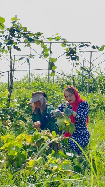 پست اینستاگرام Da7NTphoFl-