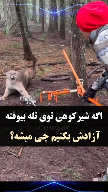 پست اینستاگرام Da7YGSGoZB4