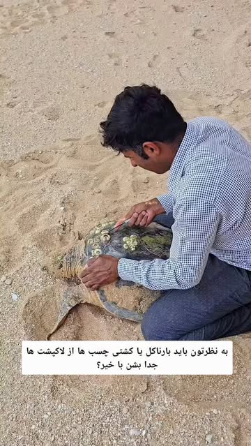 پست اینستاگرام DaAGyjeMW48