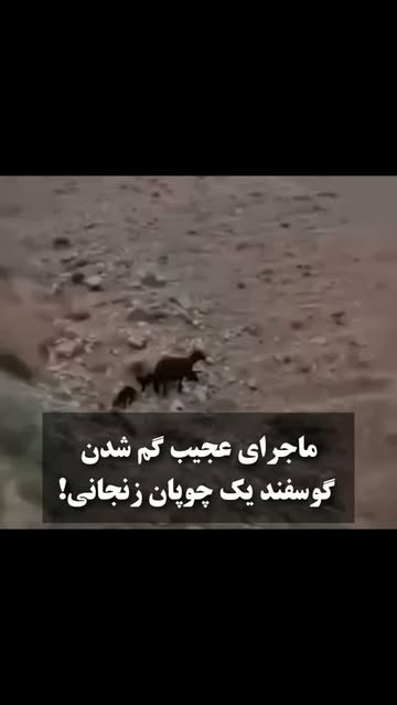 پست اینستاگرام DaDy4HJKBvN