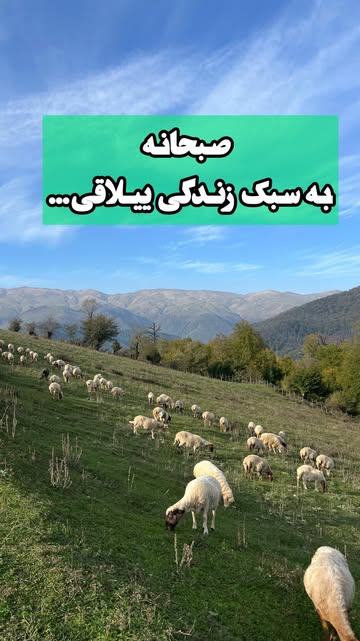 پست اینستاگرام DaGSxC8sqtk