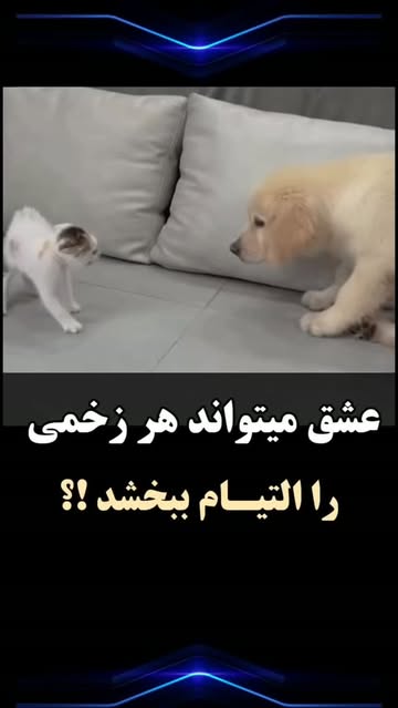 پست اینستاگرام DaNDfiGIzqn