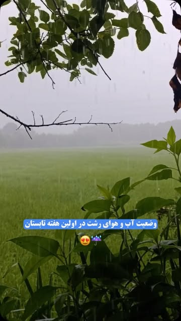 پست اینستاگرام DaP1YomObaz