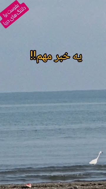 پست اینستاگرام DaRZQVhKBHj