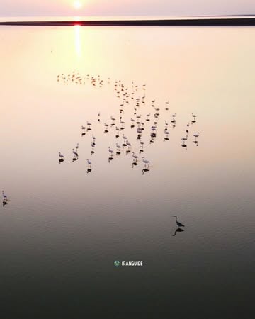 پست اینستاگرام DaSE03djFSV