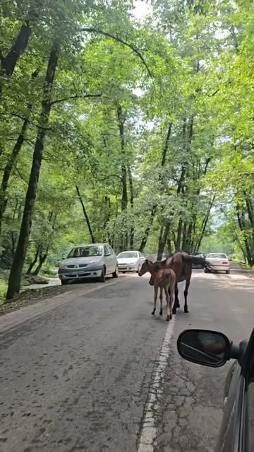 پست اینستاگرام DaaxYkDtCXm