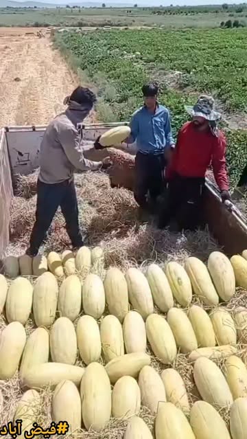 پست اینستاگرام Dahp2vZMXkK