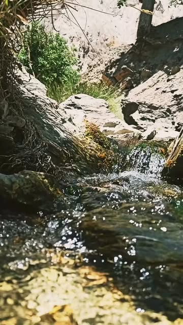 پست اینستاگرام DaiJxPQSMzn