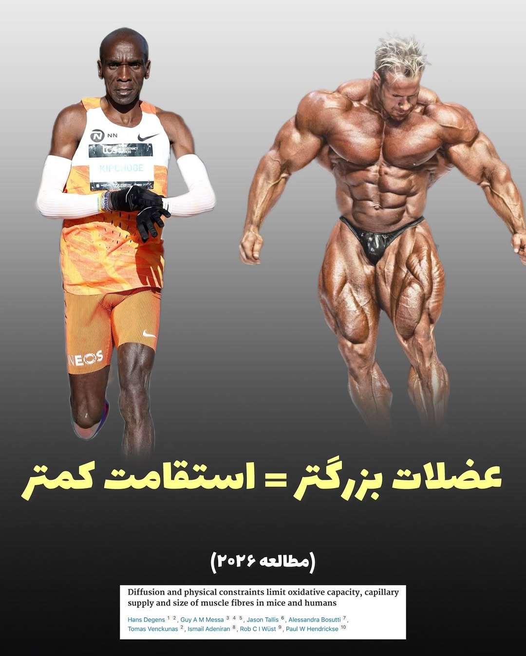 پست اینستاگرام DaifpDOAj4q