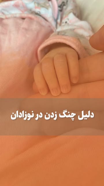 پست اینستاگرام DailEvZNCnc