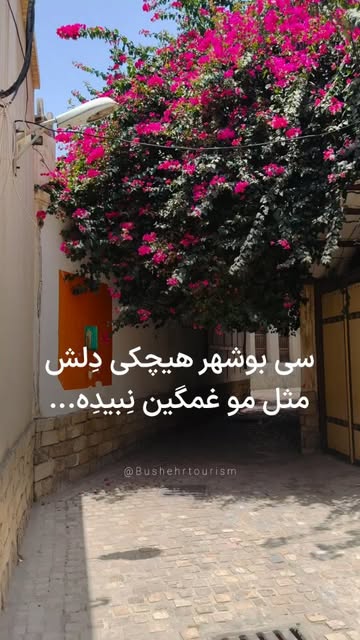 پست اینستاگرام Dan0iXpupPX