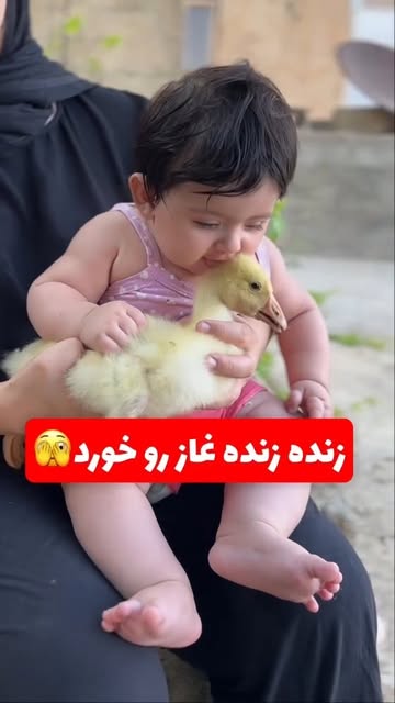 پست اینستاگرام Dapm-78uPo3