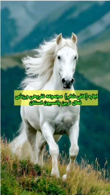 پست اینستاگرام DapmFKjREeT