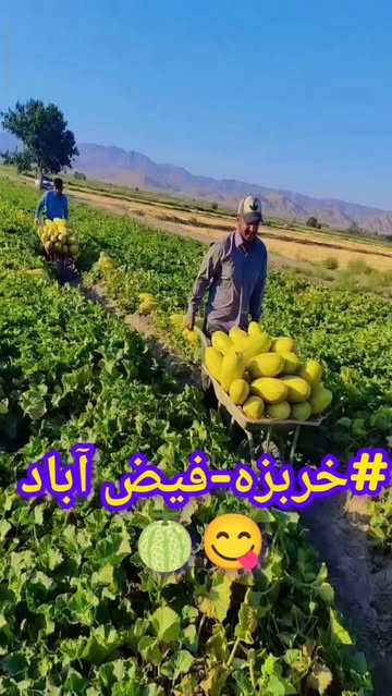 پست اینستاگرام DapnkgoM9ID