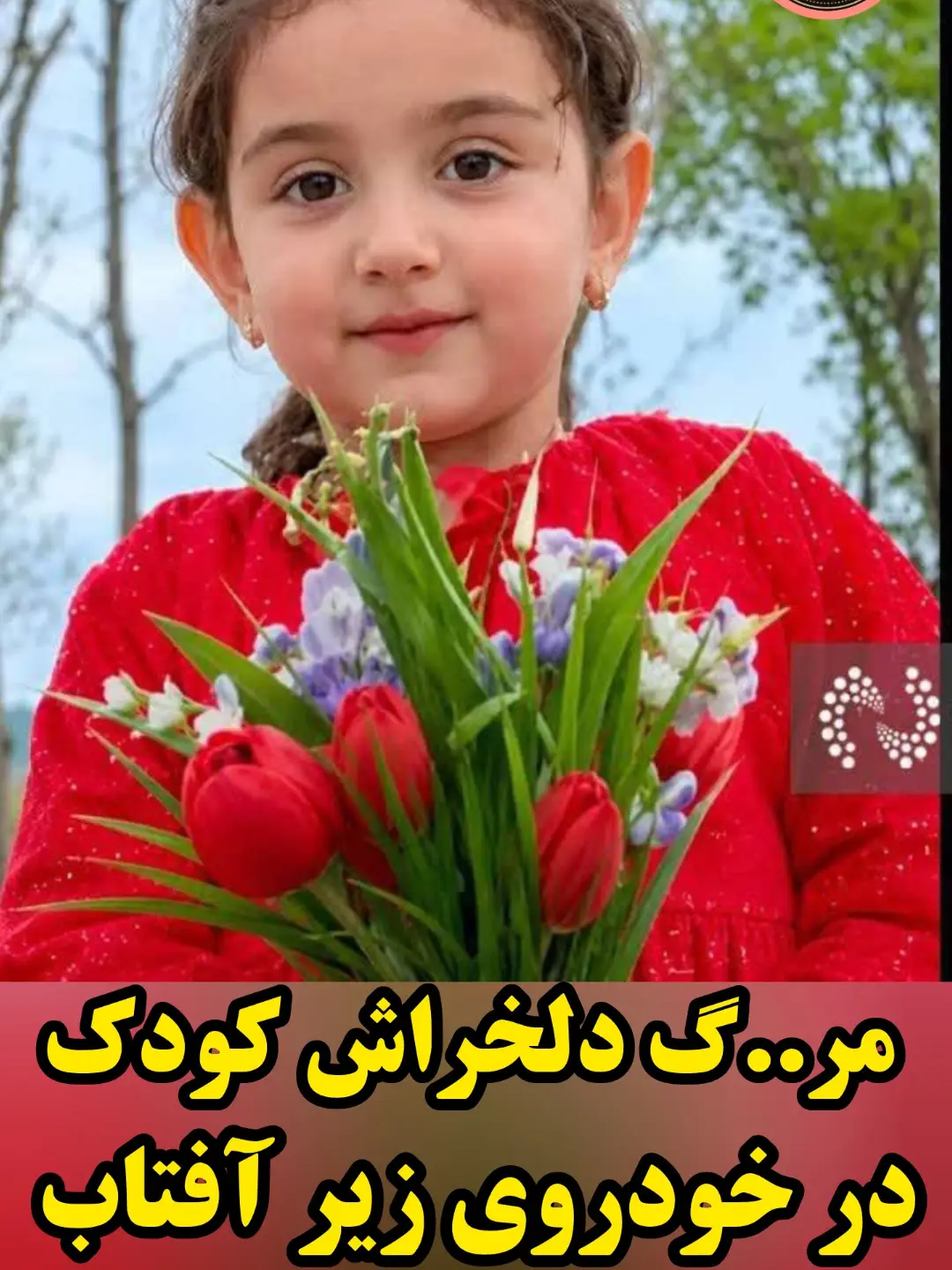 پست اینستاگرام DaqiCkKNHht