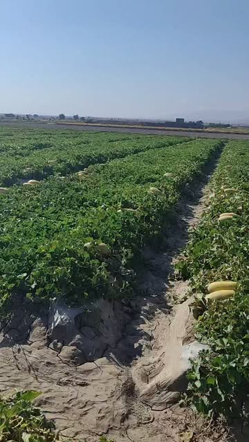 پست اینستاگرام Dar6nodMvTt