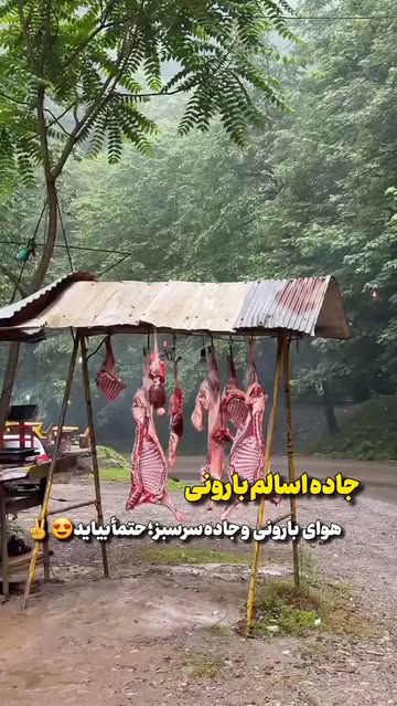 پست اینستاگرام Davq-EXM56A