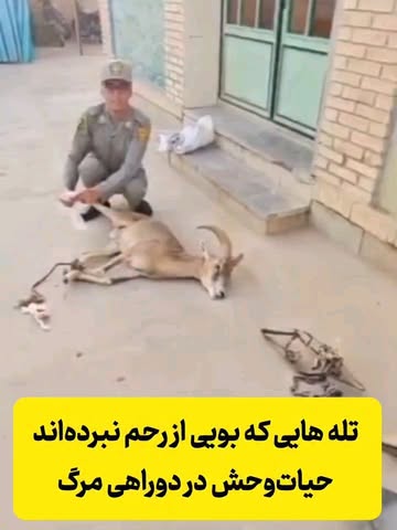 پست اینستاگرام DaxNNzmCFi8