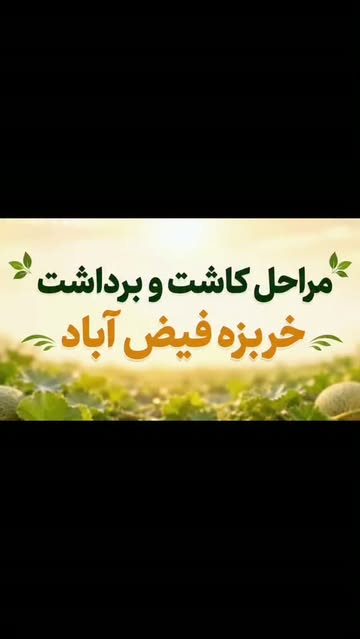پست اینستاگرام Daxd2rdMeqL