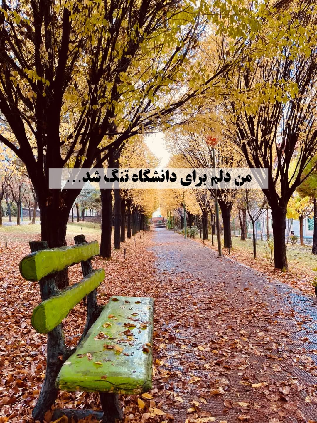 پست اینستاگرام Db-4N6kDK1S