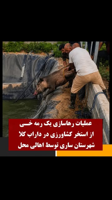 پست اینستاگرام Db-Q9GduVmL