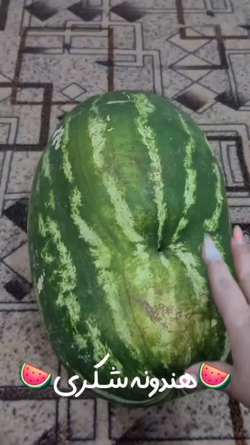 پست اینستاگرام Db-UBebo-7e